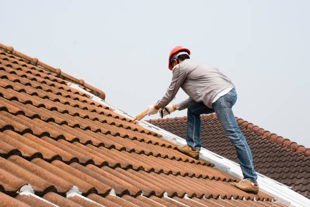 Fast & Reliable Emergency Roof Repairs in Edgewater, MD