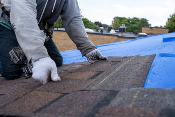 Best Commercial Roofing Services  in Edgewater, MD