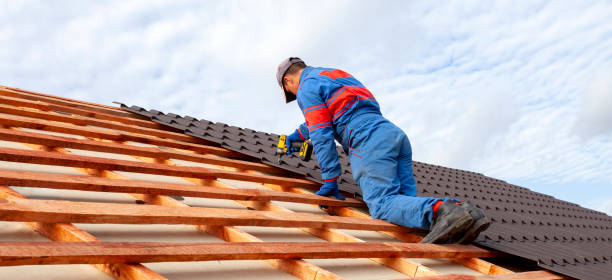 Best Sheet Metal Roofing  in Edgewater, MD